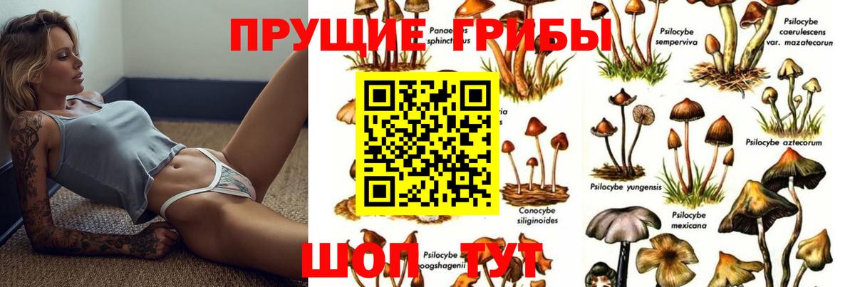 Галлюциногенные грибы Magic Shrooms Октябрьский